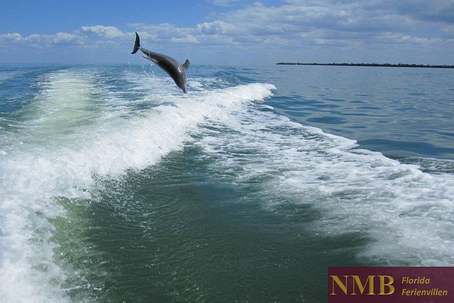 Boat rental in Florida Boat rental in Cape Coral